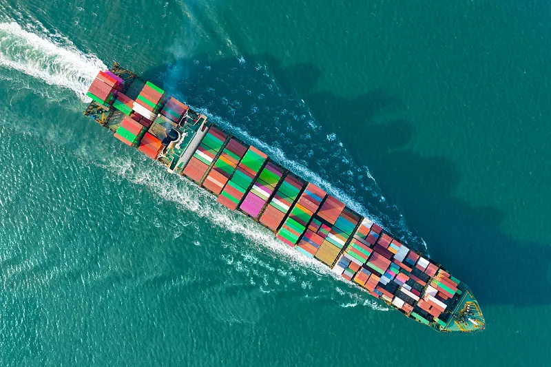 河北新增外贸经营主体11585家